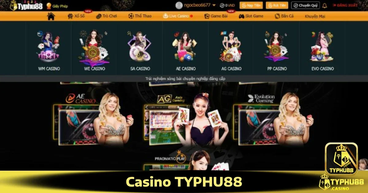 Casino Typhu88 5 Hướng dẫn tham gia Casino Typhu88