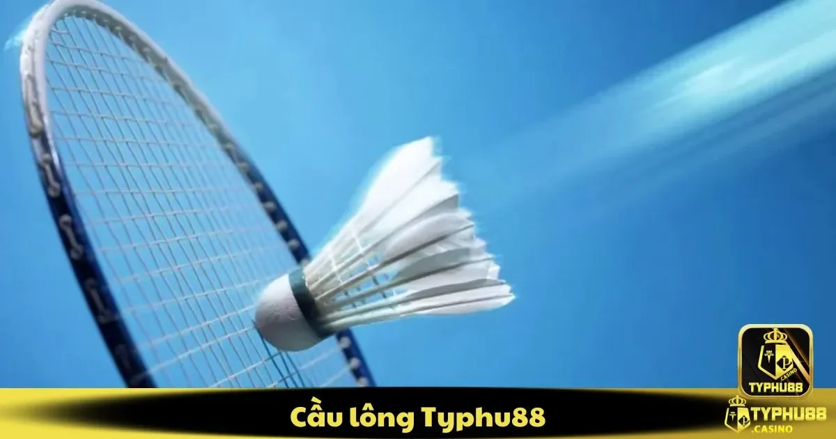 Cầu Lông Typhu88 – Hướng Dẫn Đặt Cược Và Cách Phân Tích 2 Cá cược cầu lông Typhu88 là gì? Các loại kèo và cách chơi chi tiết
