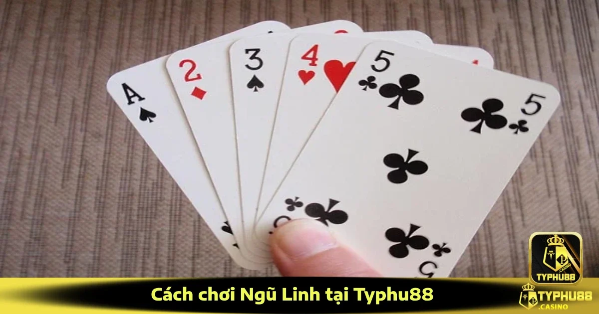 Cách Chơi Ngũ Linh Tại Typhu88 – Khám Phá Luật Lệ Đơn Giản