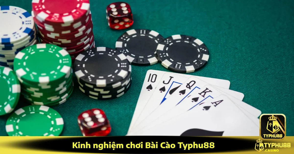 Kinh Nghiệm Chơi Bài Cào Typhu88 Từ Người Từng Thắng Lớn