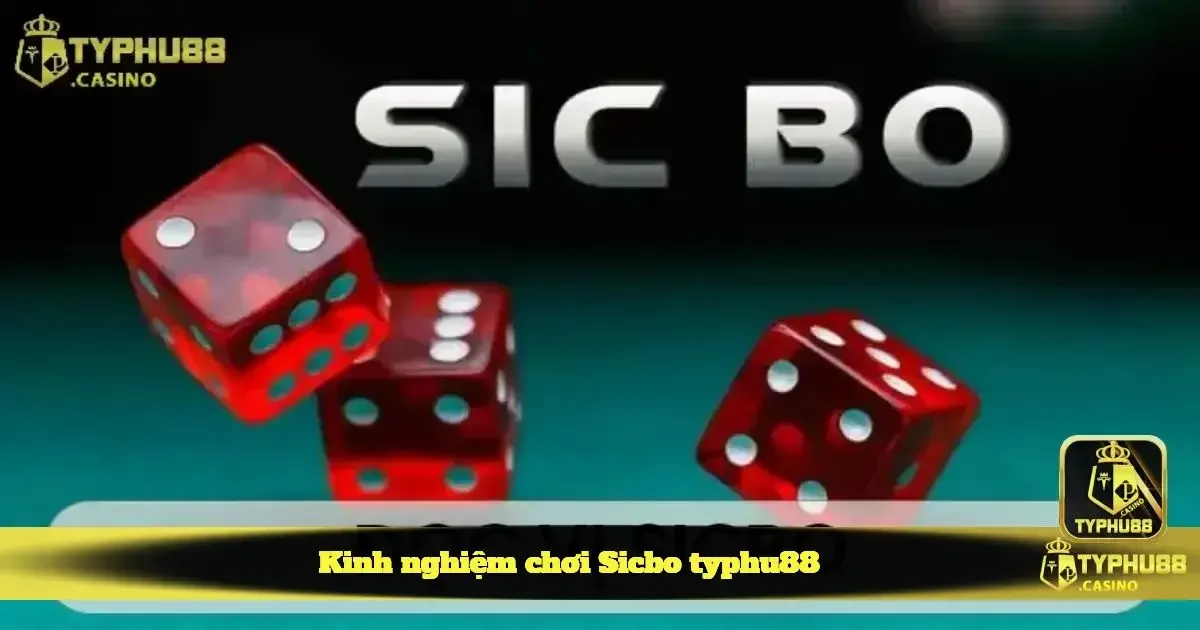 Kinh nghiệm chơi sicbo typhu88