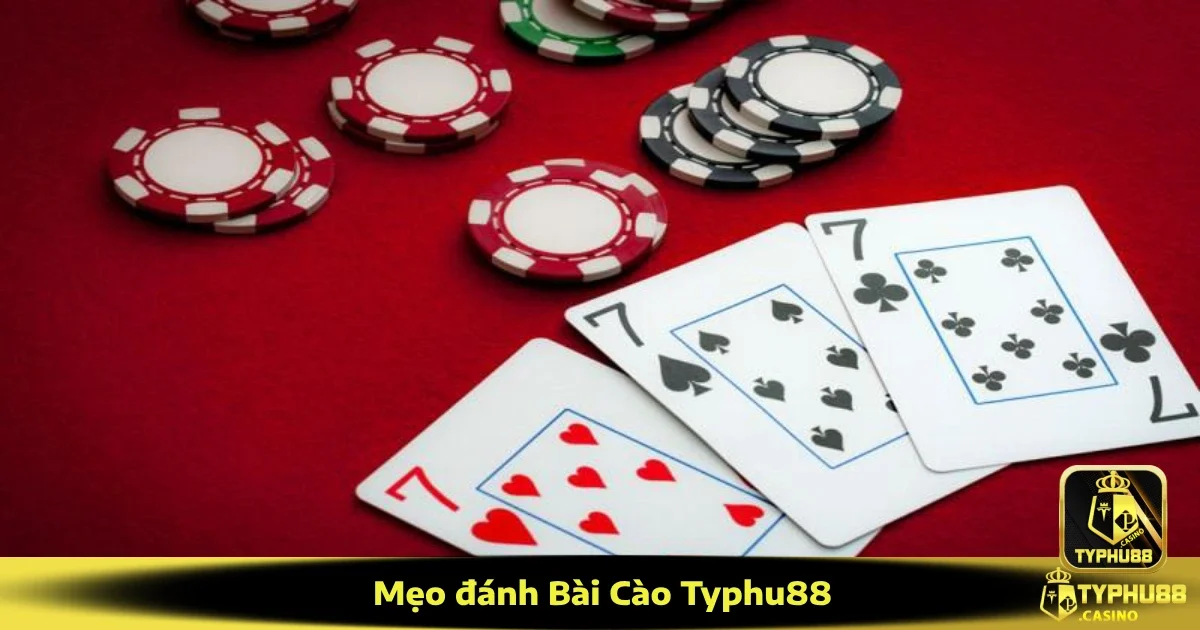 Mẹo Đánh Bài Cào Typhu88 – Ít Bài Nhưng Không Hề Đơn Giản
